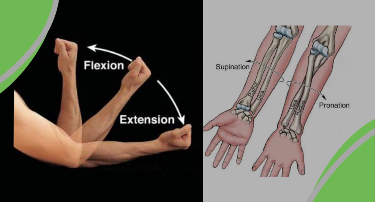 Elbow Trauma